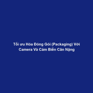 Tối ưu Hóa Đóng Gói (Packaging) Với Camera Và Cảm Biến Cân Nặng
